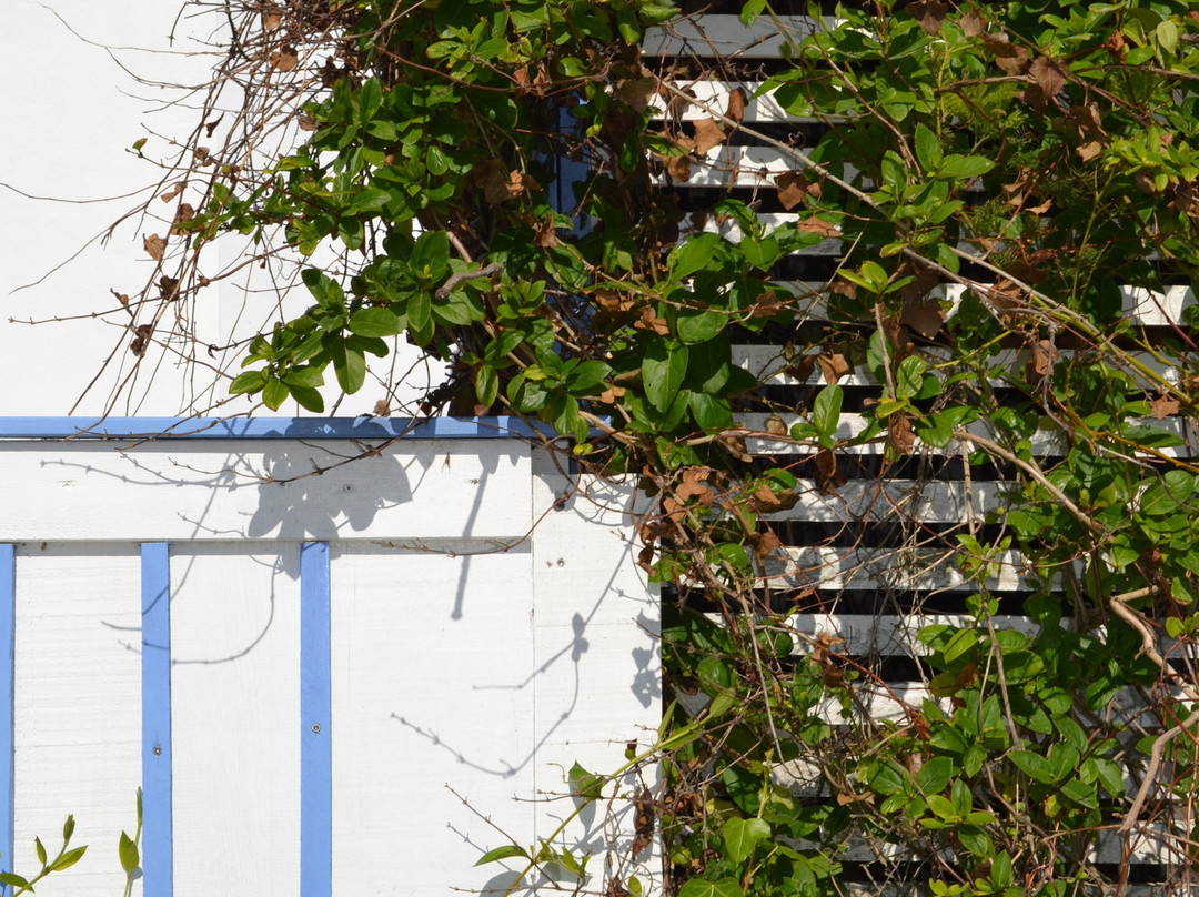 Atlantic Hôtel主图