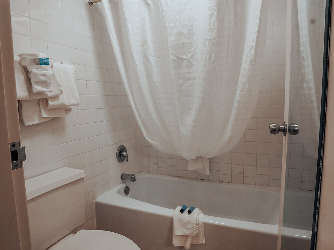 Lamplighter Inn & Suites North主图