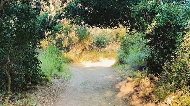 Wildwood Regional Park-千橡市必去景点