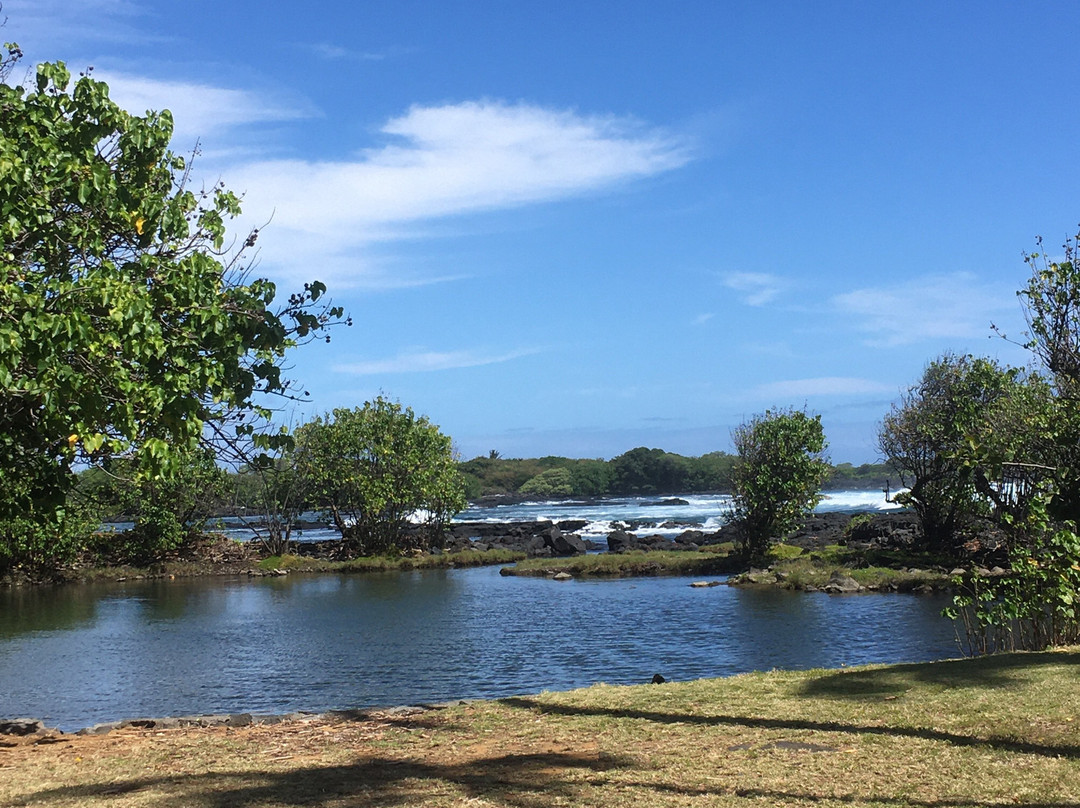 Whittington Beach Park-纳勒胡必去景点