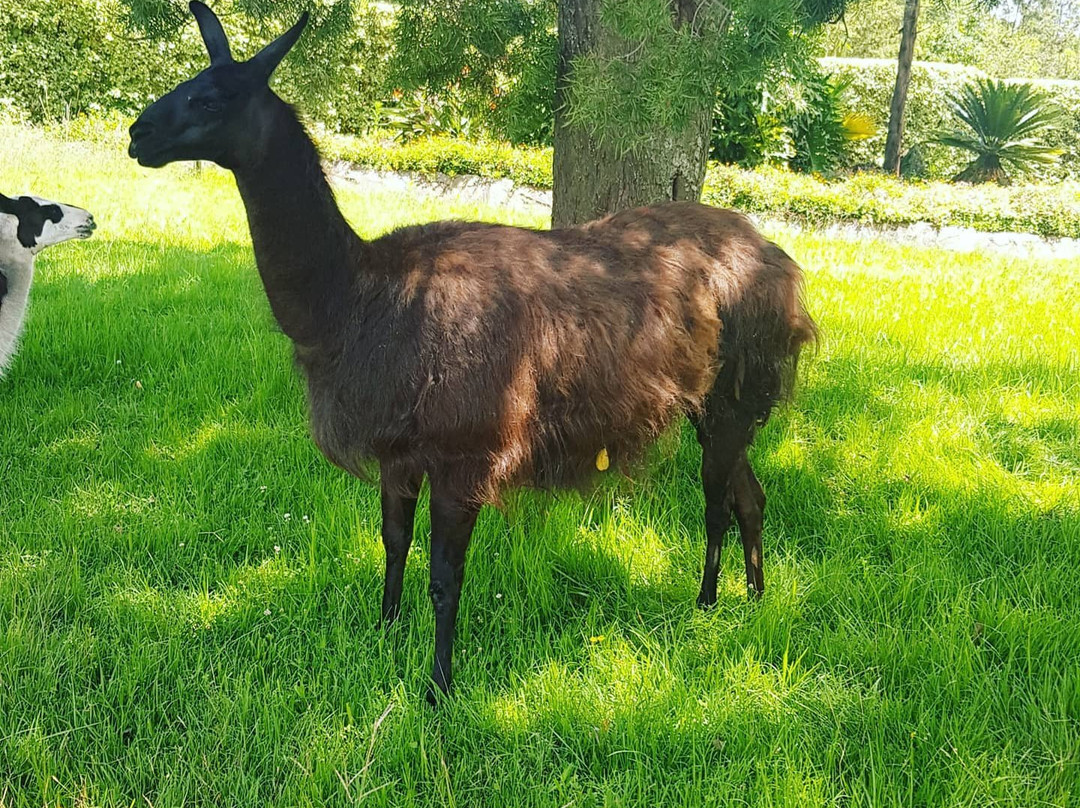 Lord Egerton Castle-纳库鲁必去景点