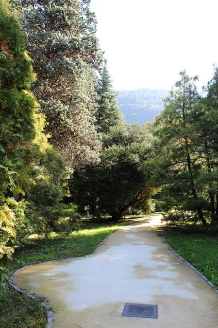 Parco Comunale景点图片