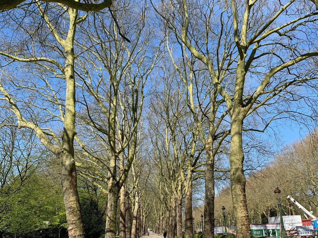Parc Elisabeth-布鲁塞尔必去景点