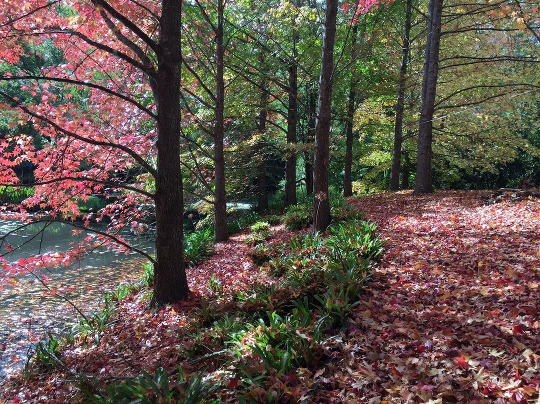 Firescreek Fruit Wines-Holgate必去景点