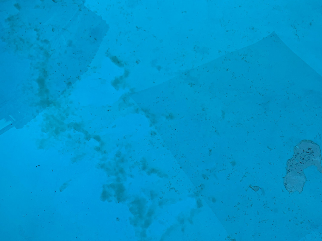 Cabanas Revi Inn主图