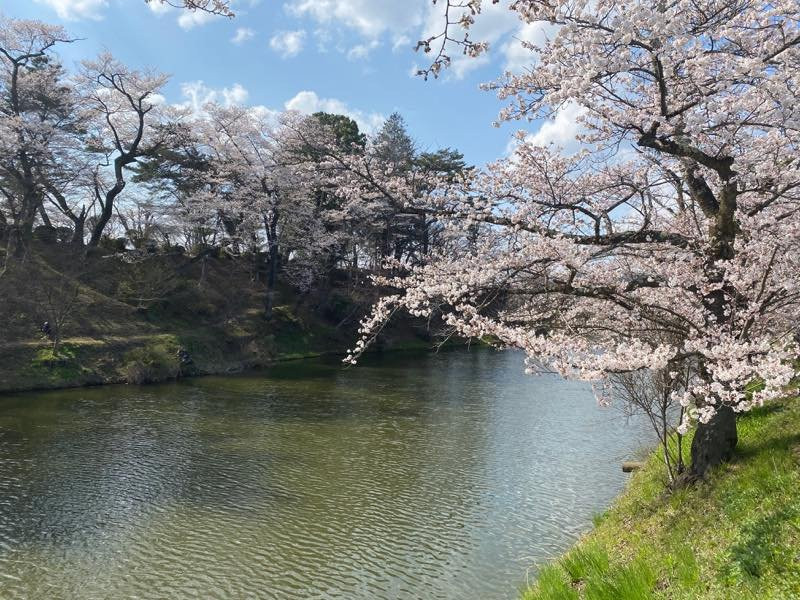 Kamegajo Park景点图片