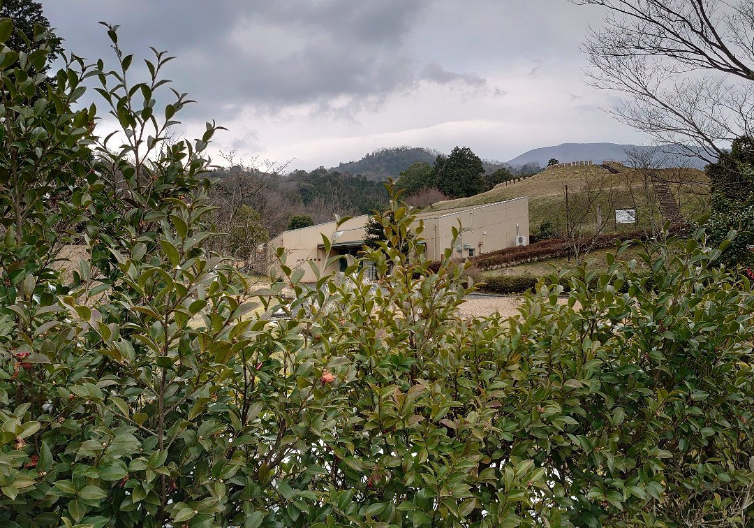 Yosano Town Ancient Tomb Park-与谢野町必去景点