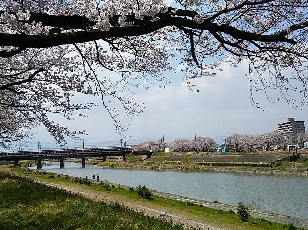 Kaizogawa Riverbank景点图片