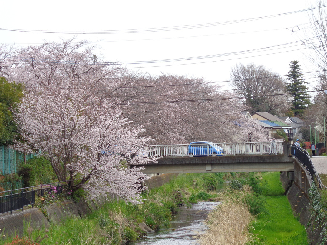 Kurome River-东久留米市必去景点