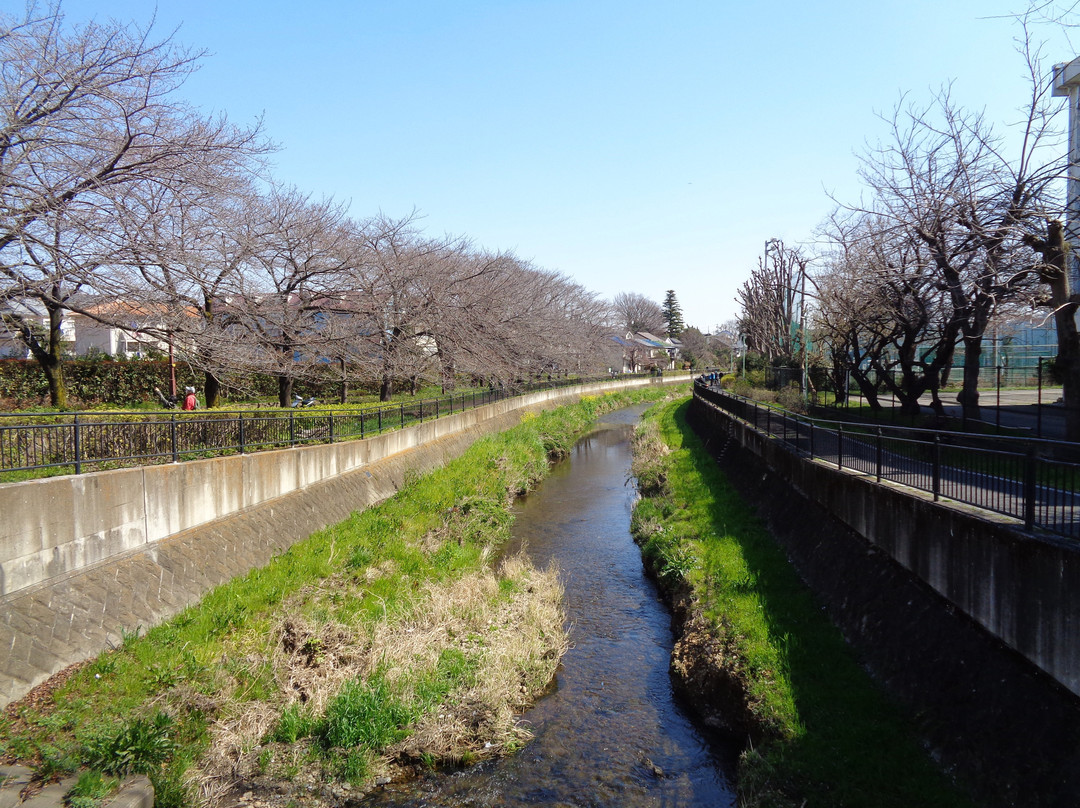 Kurome River-东久留米市必去景点