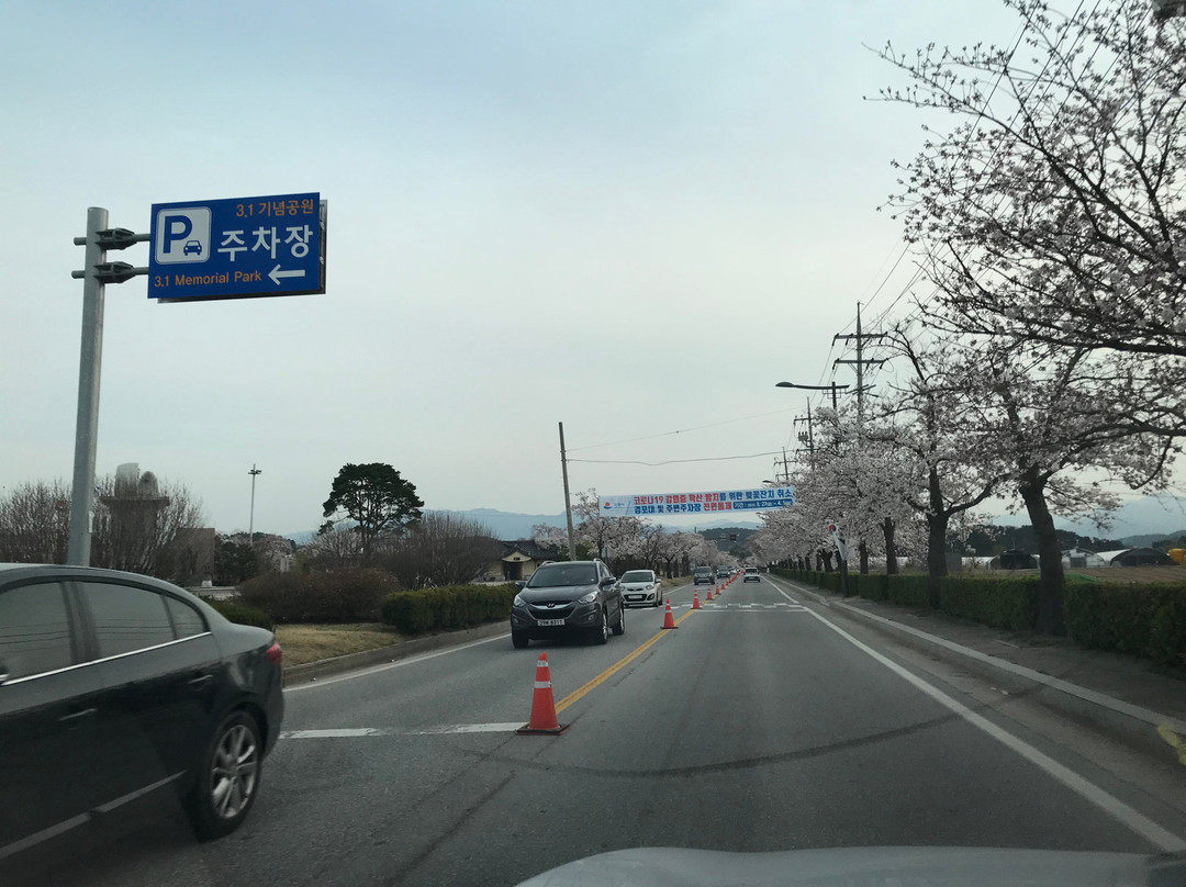 Gyeongpodae-江陵市必去景点