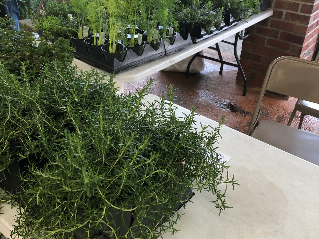 New Bern Farmers Market-新伯尔尼必去景点