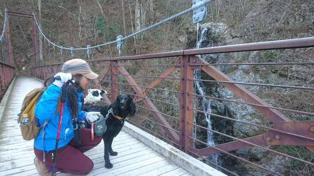 Mt. Mito-奥多摩町必去景点