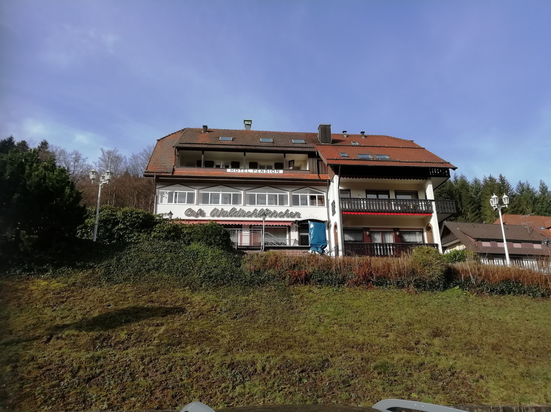 Hotel-Cafe Waldschlosschen主图