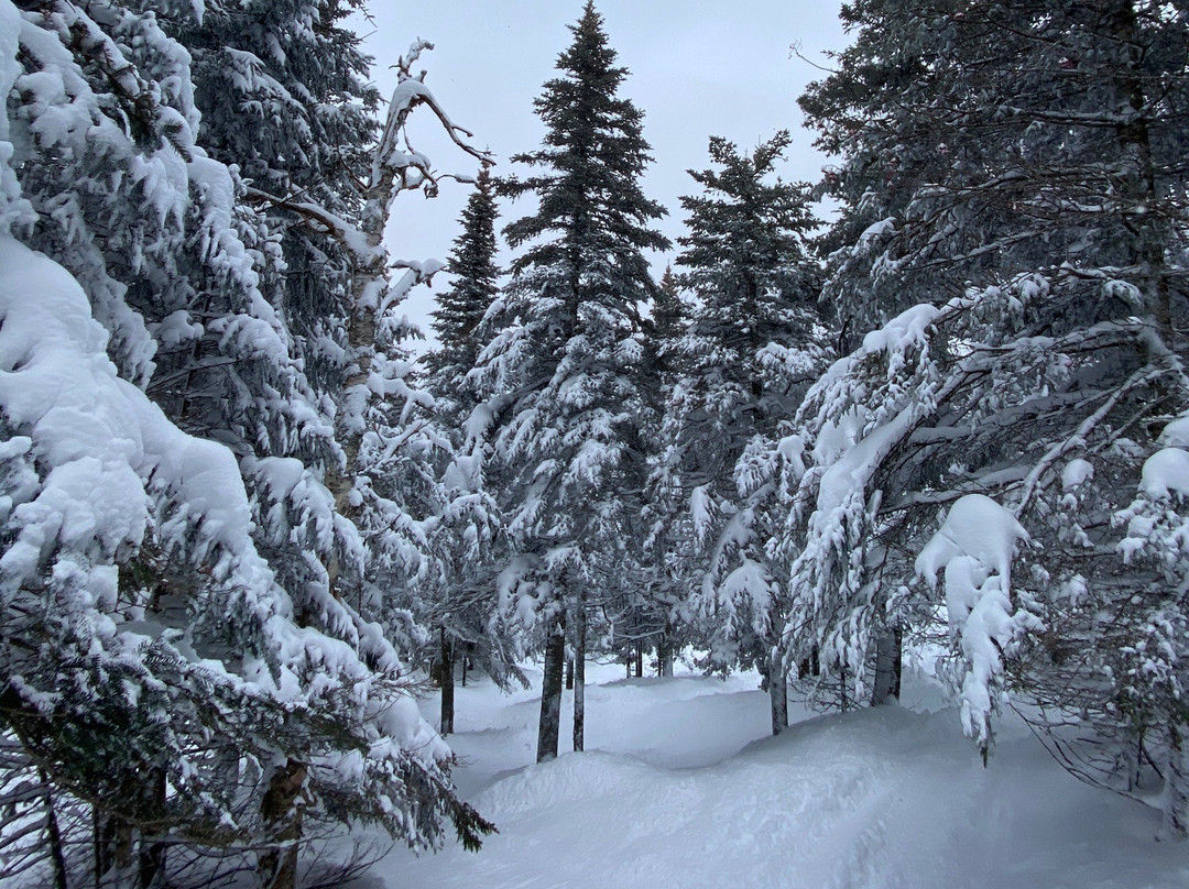 Jay Peak Ski Resort景点图片