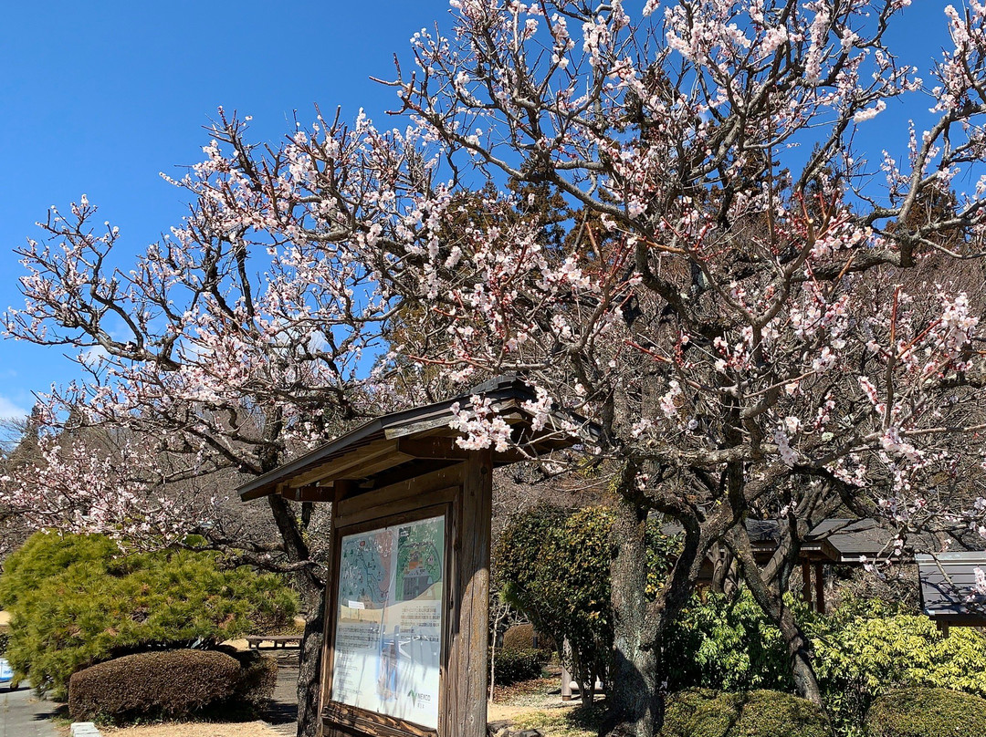 Yokokawa Service Area Inbound-安中市必去景点
