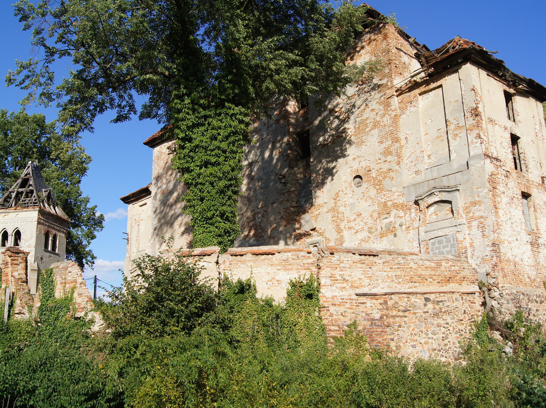 Ruiny Zboru Ewangelickiego景点图片