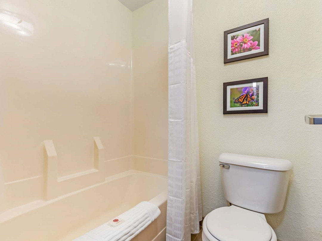 Comfort Inn & Suites Near Route 66主图