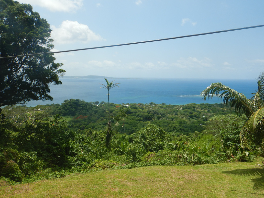 Vanuatu Jungle Ziplines-维拉港必去景点