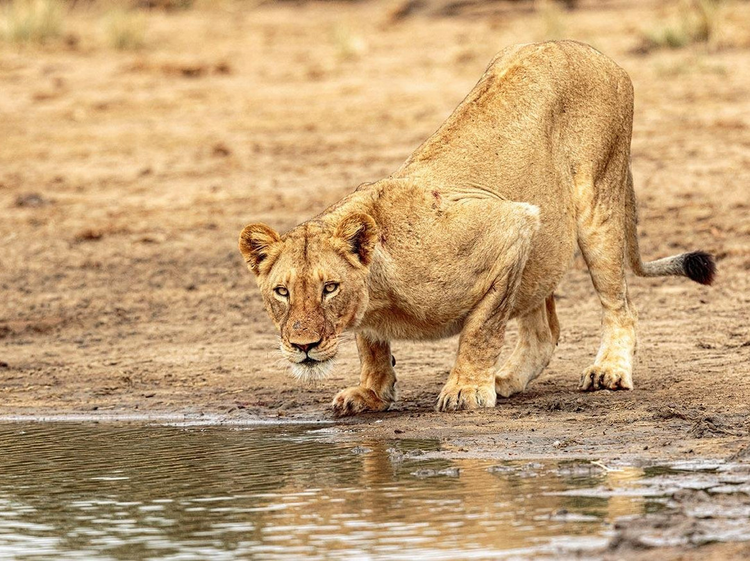 Tony Sparkes Wildlife and Photographic Safaris-霍德斯普鲁特必去景点