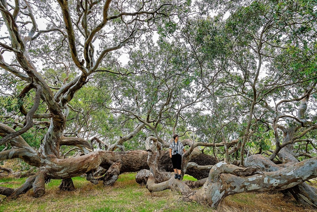 Royal Mail Hotel主图