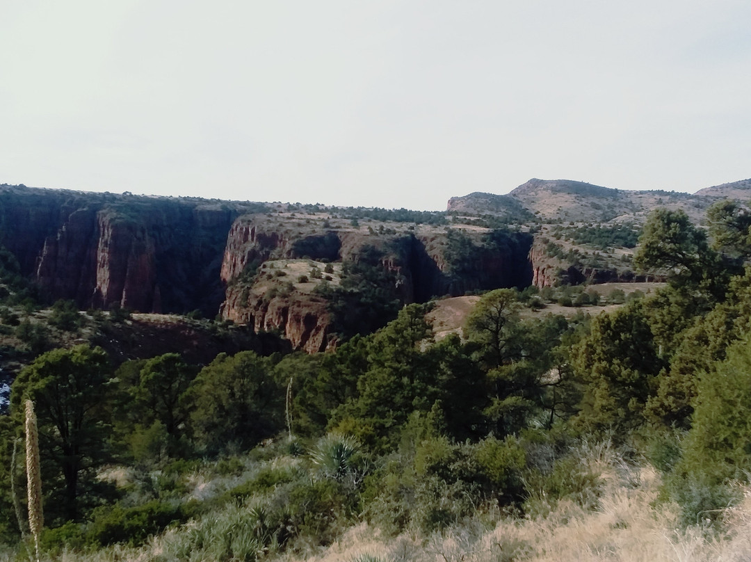 Salt River Canyon Scenic Drive景点图片