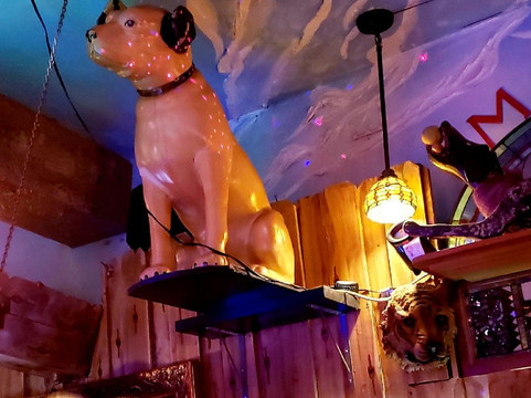 Mona's Cocktail Lounge-劳德代尔堡必去景点