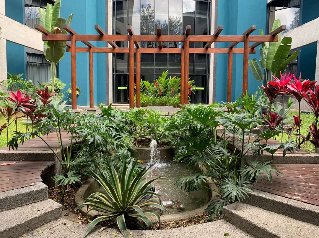 哥斯达黎加圣何塞丽笙酒店主图