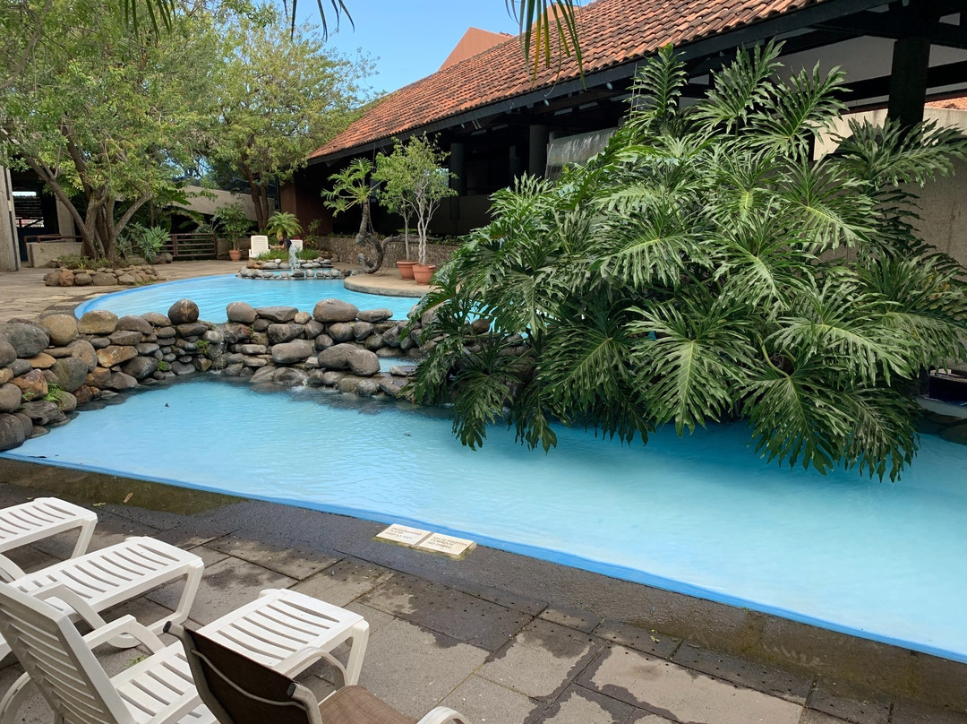 哥斯达黎加圣何塞丽笙酒店主图