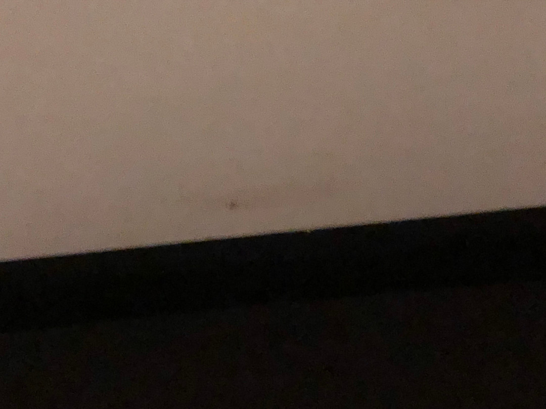 Stay Hotel Guimarães Centro主图