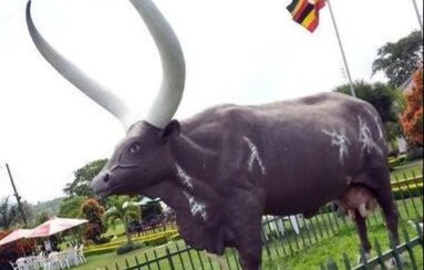 Igongo country Hotel and cultural Centre主图