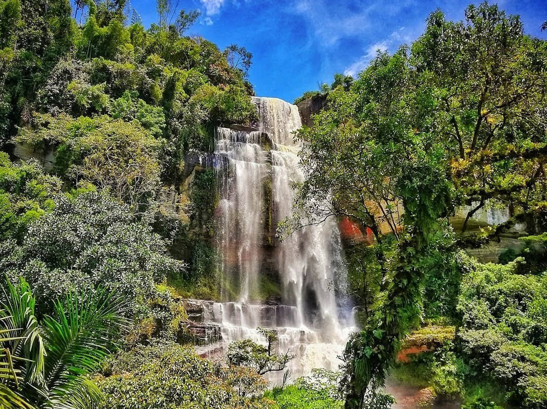 Hotel y Restaurante San Gabriel主图