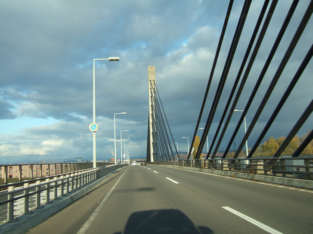 Twin Harp Bridge-旭川市必去景点