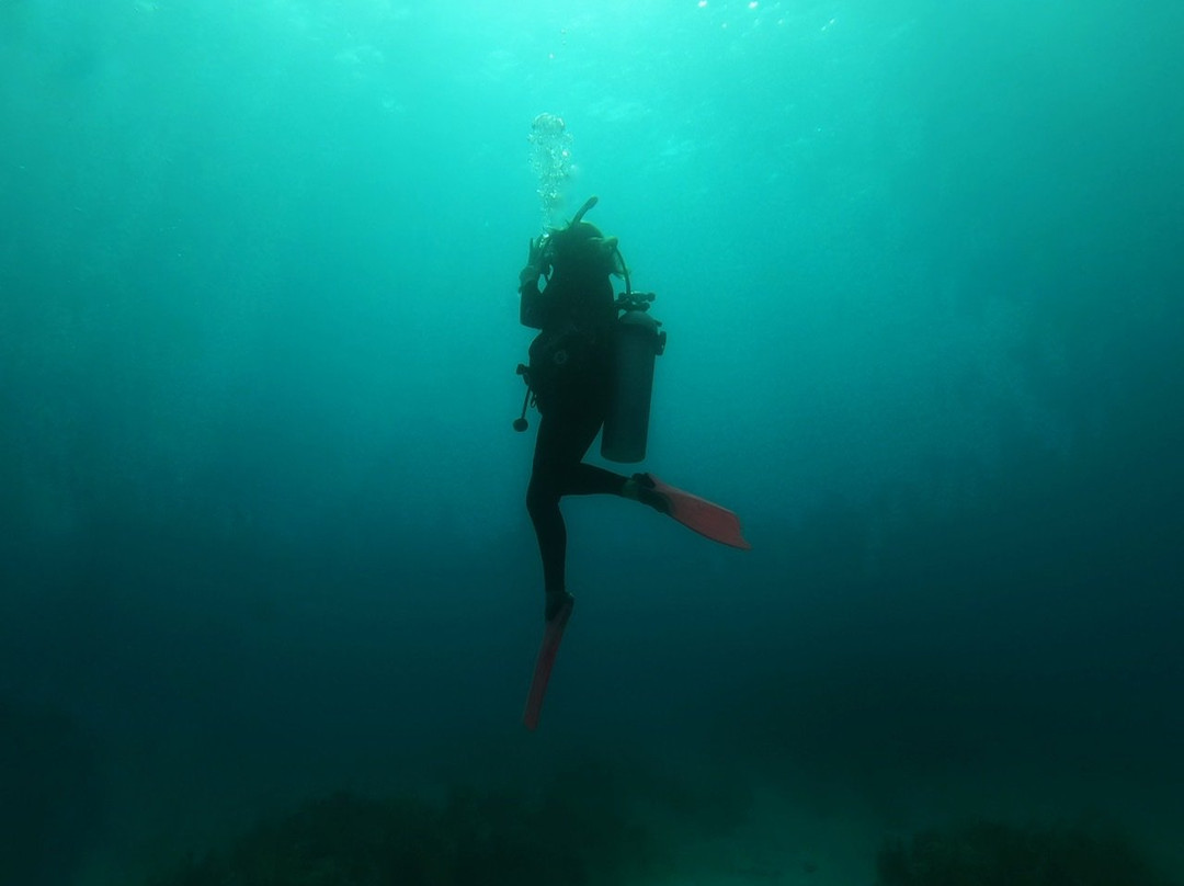Tankah Divers Tulum-图伦必去景点