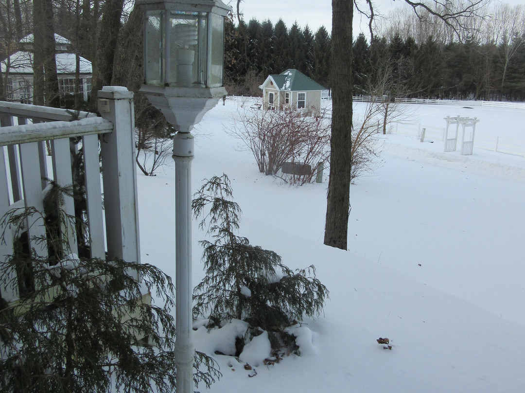 The Speckled Hen Inn Bed & Breakfast主图