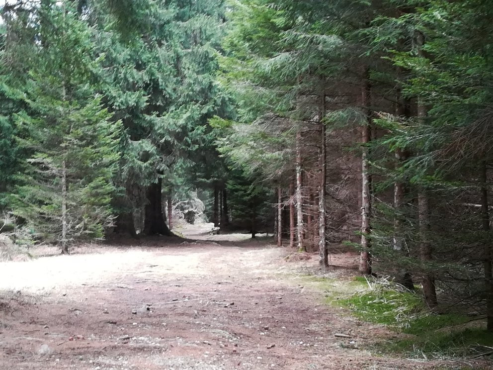 Sentiero Cimbro dell’Immaginario-Luserna必去景点