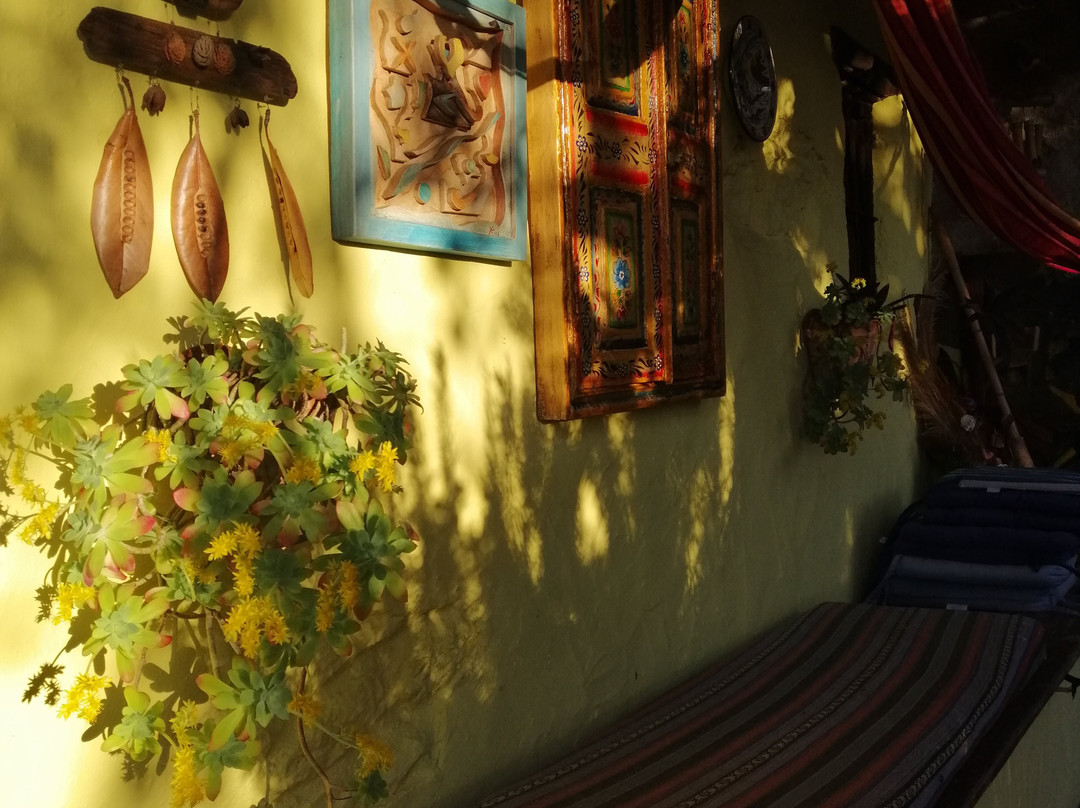 Finca El Chaparral主图