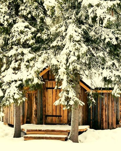 Poro-Panuma Reindeer Farm-Pudasjarvi必去景点