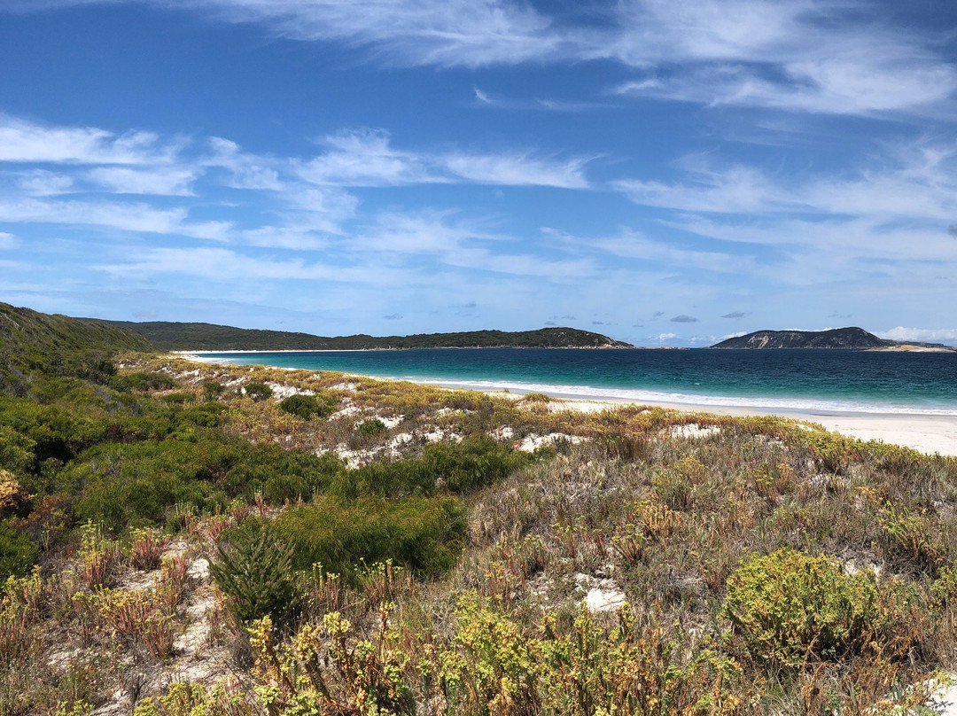Ledge Beach-奥尔巴尼必去景点