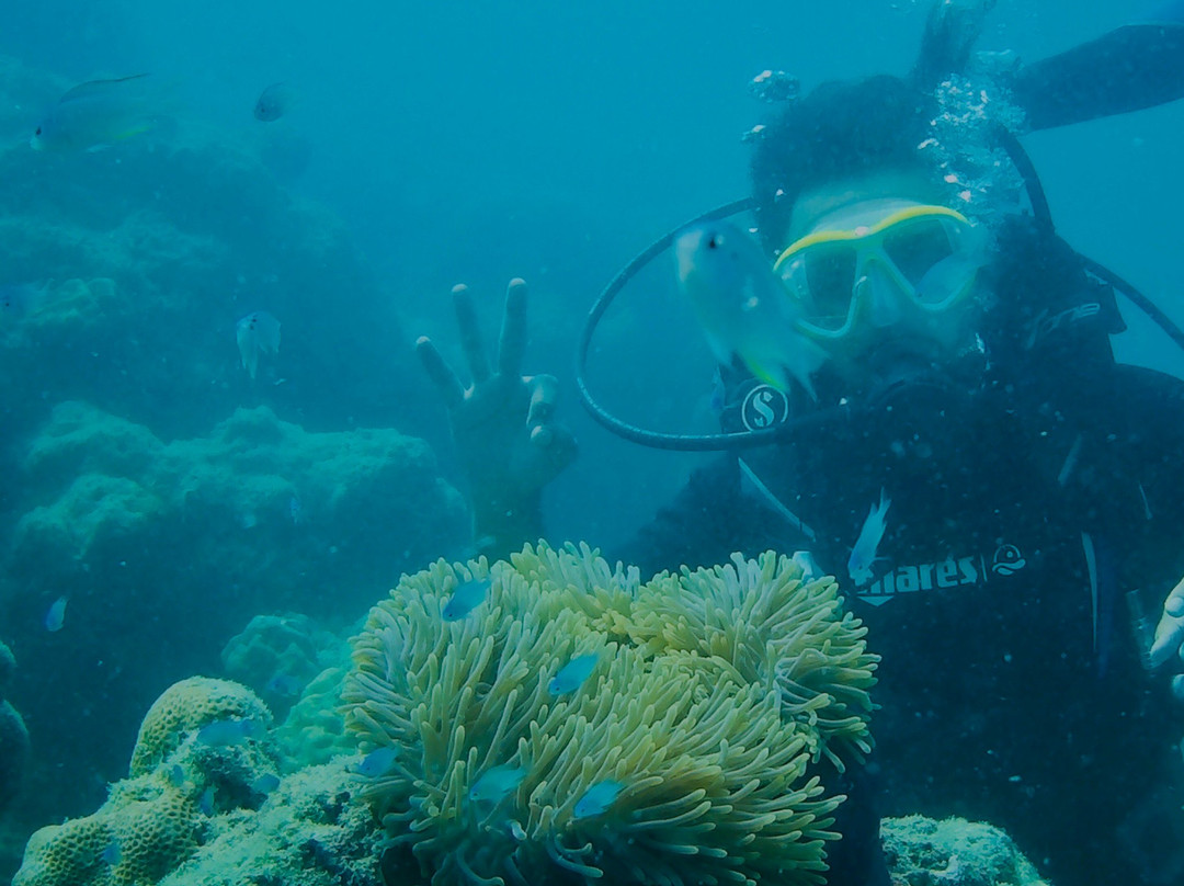 Scubanaut-哈夫洛克岛必去景点