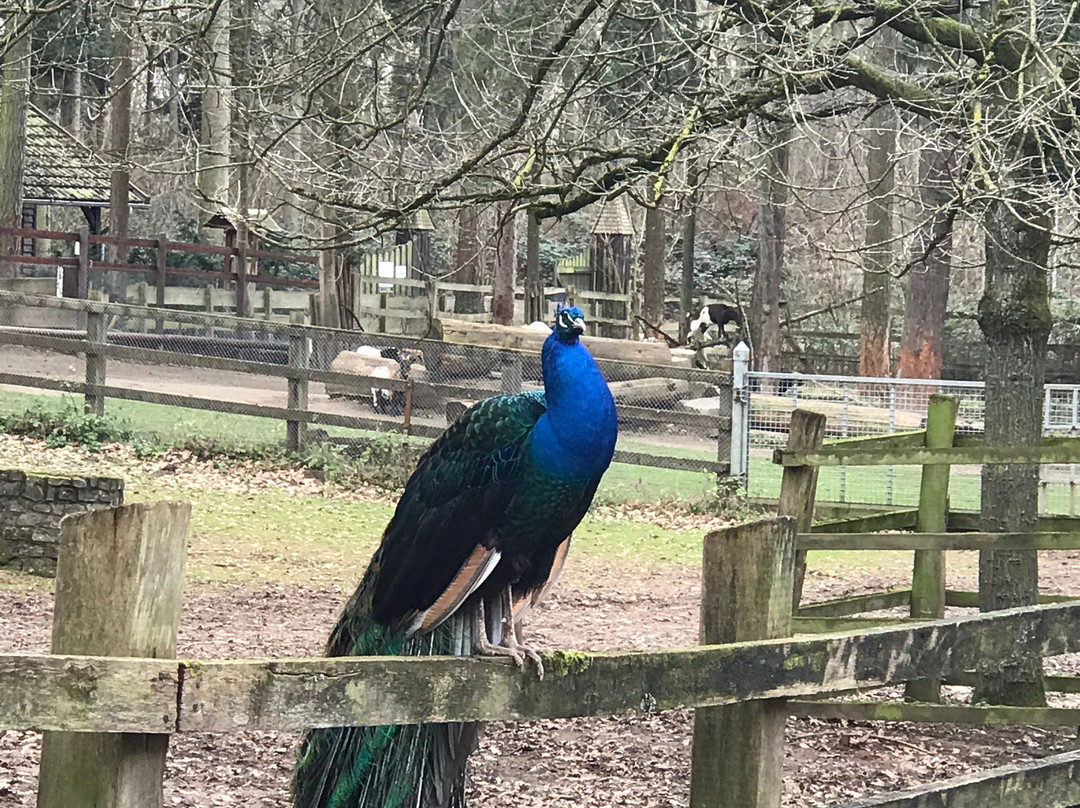 Tierpark Tannenbusch-Dormagen必去景点