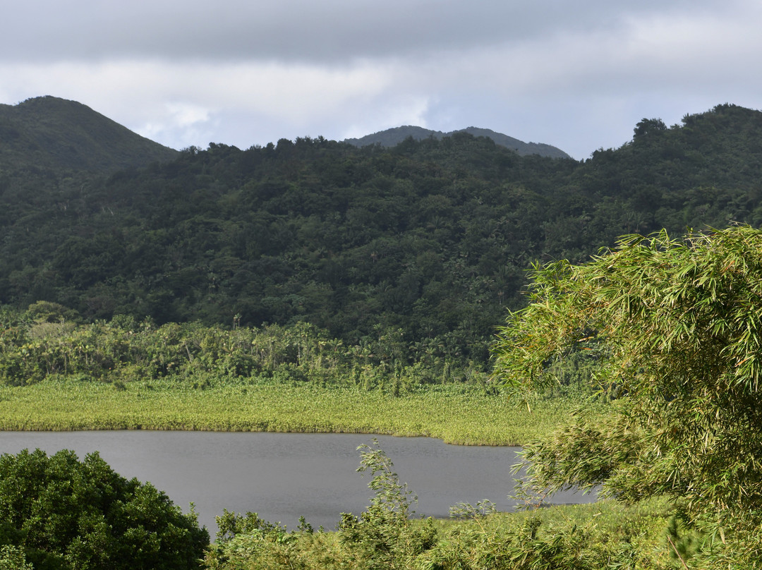 Grand Etang Lake景点图片