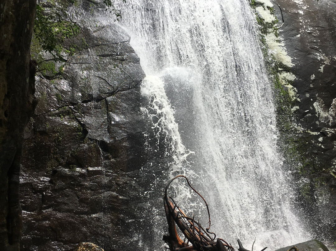 Cachoeira dos Tres Tombos-伊利亚贝拉必去景点