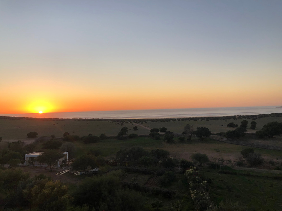 Dancing the Waves-Tafedna必去景点