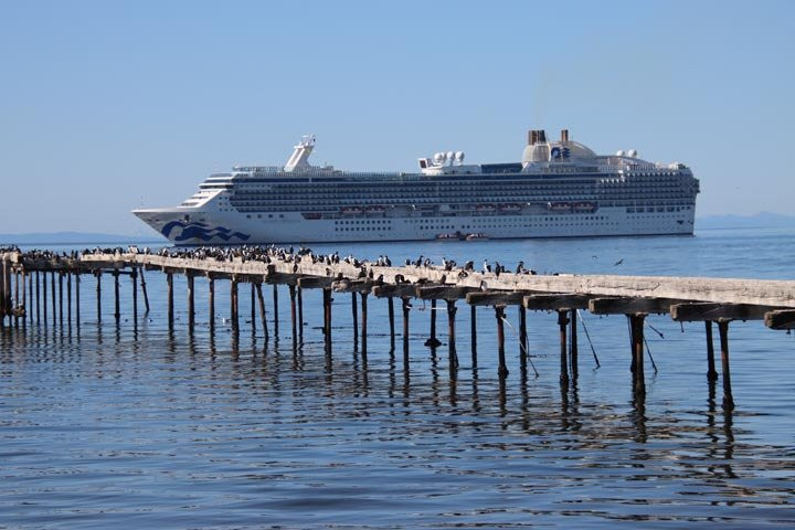 Costanera de Punta Arenas景点图片