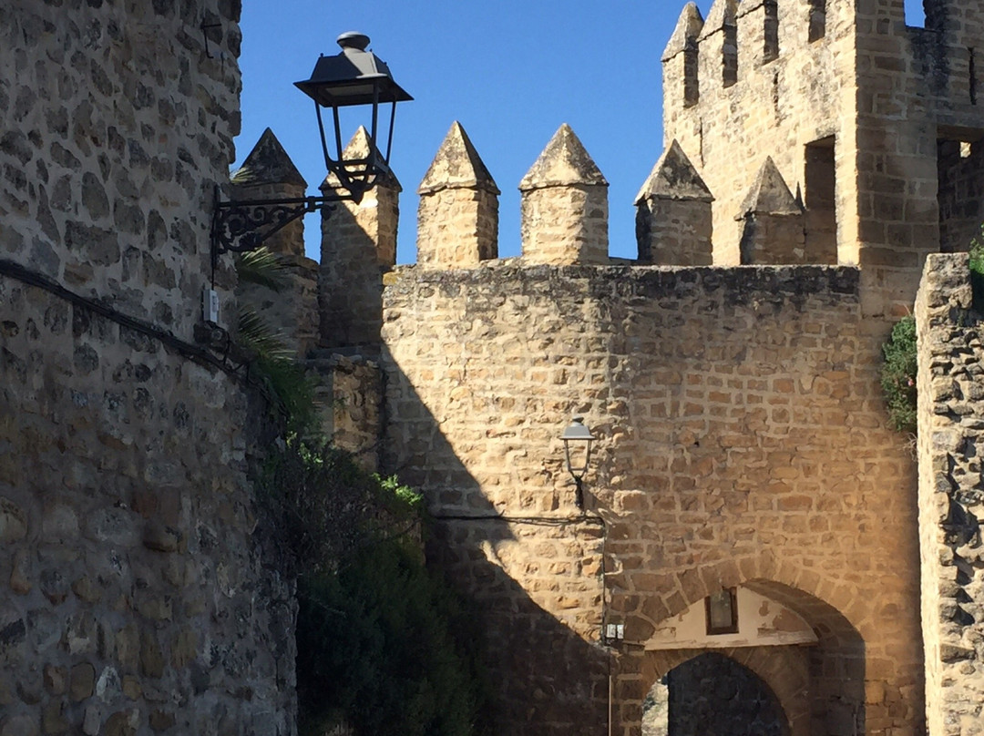 Castillo de Sabiote景点图片