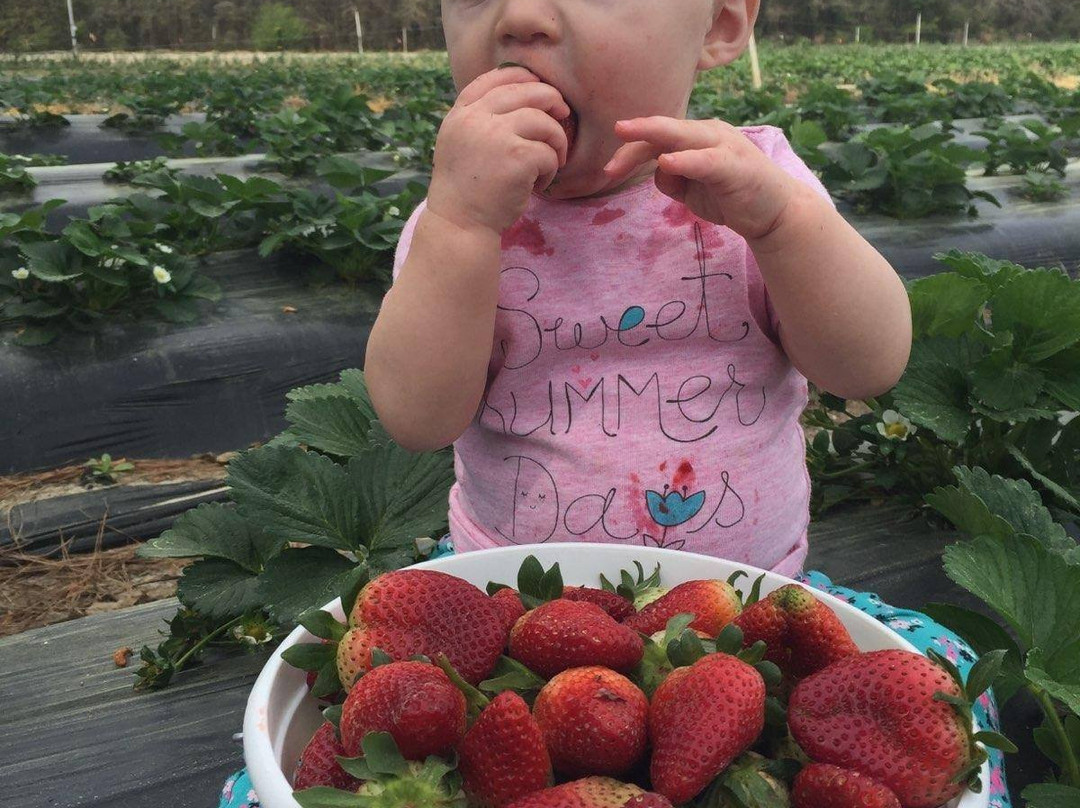 Dorr Farms-Gable必去景点