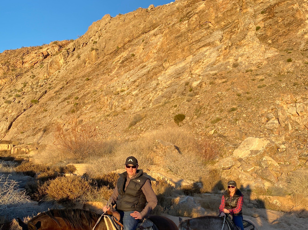 Wild West Horseback Adventures景点图片