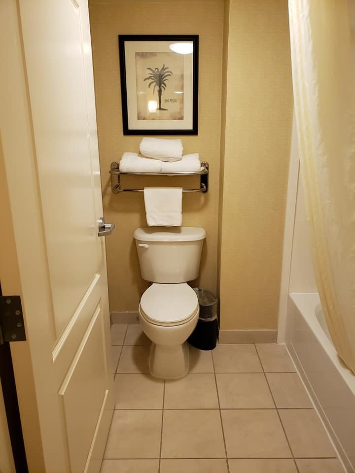 Homewood Suites by Hilton Tampa-Brandon-浴室