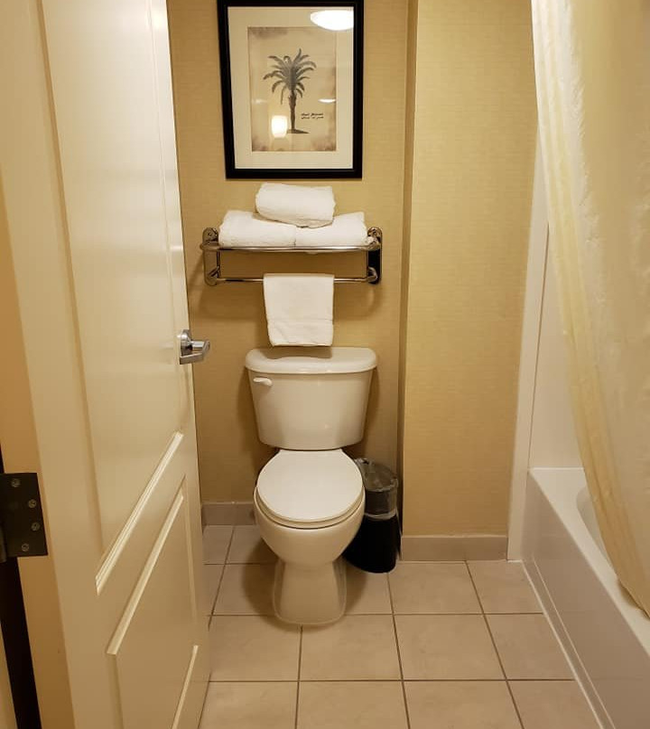 Homewood Suites by Hilton Tampa-Brandon主图